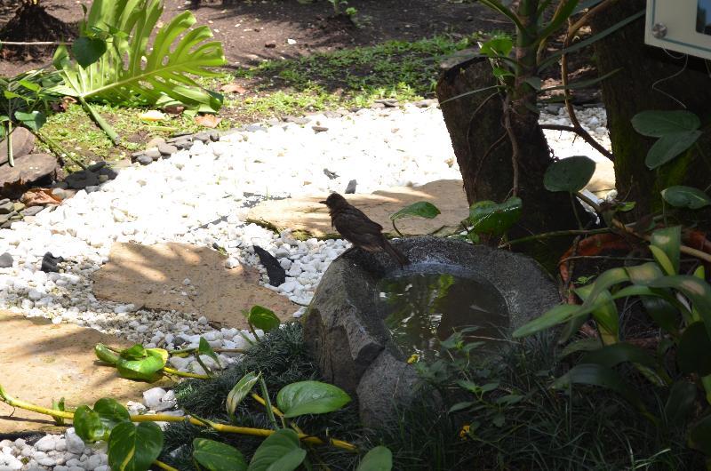 Hotel Aromax Del Campestre Medellin Exterior photo